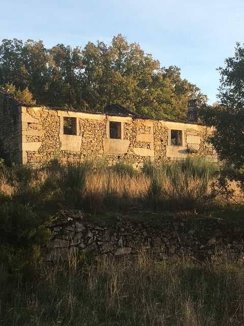 Quinta para restauração 1000m2 Fuinhas Fornos de Algodres