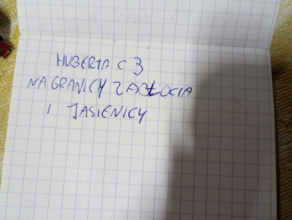 Zaginęły dwa kotki (brat i siostra)