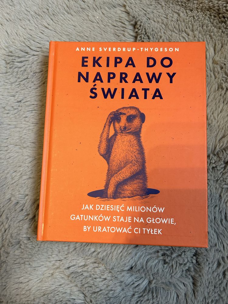 Ekipa do naprawy świata