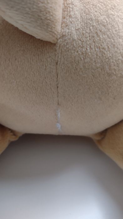 Szczeniaczek uczniaczek Fisher Price mówiący po polsku i angielsku