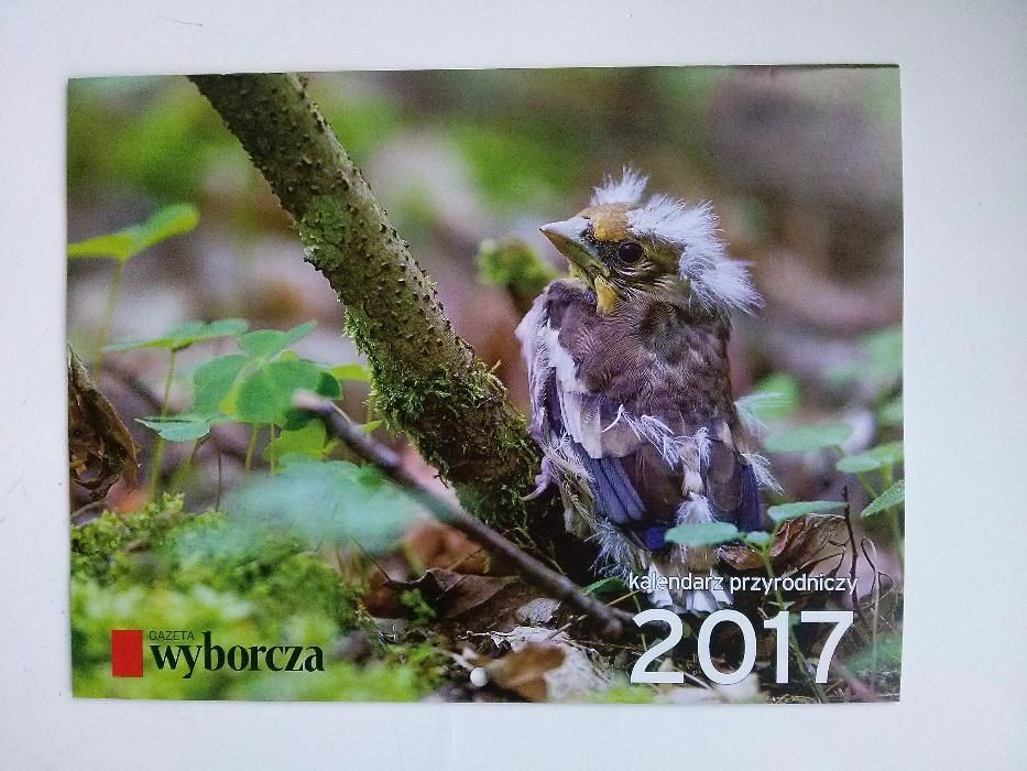 Archiwalny Kalendarz ze zwierzętami przyrodniczy 2017 i 2019 - 2 szt.