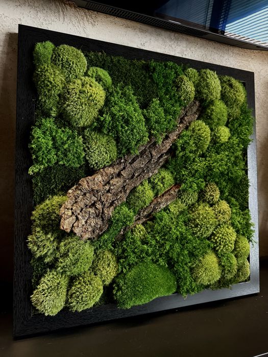 Obraz z mchu stabilizowanego 54×54