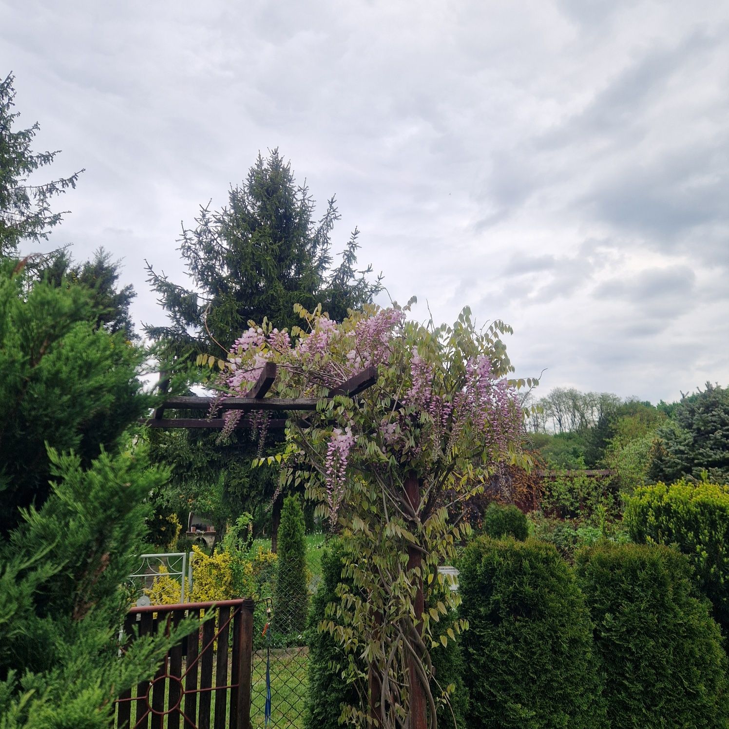 Działka rekreacyjna Sosnowiec Klimontów