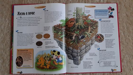Энциклопедия для детей Дисней Deagostini развивающие книги