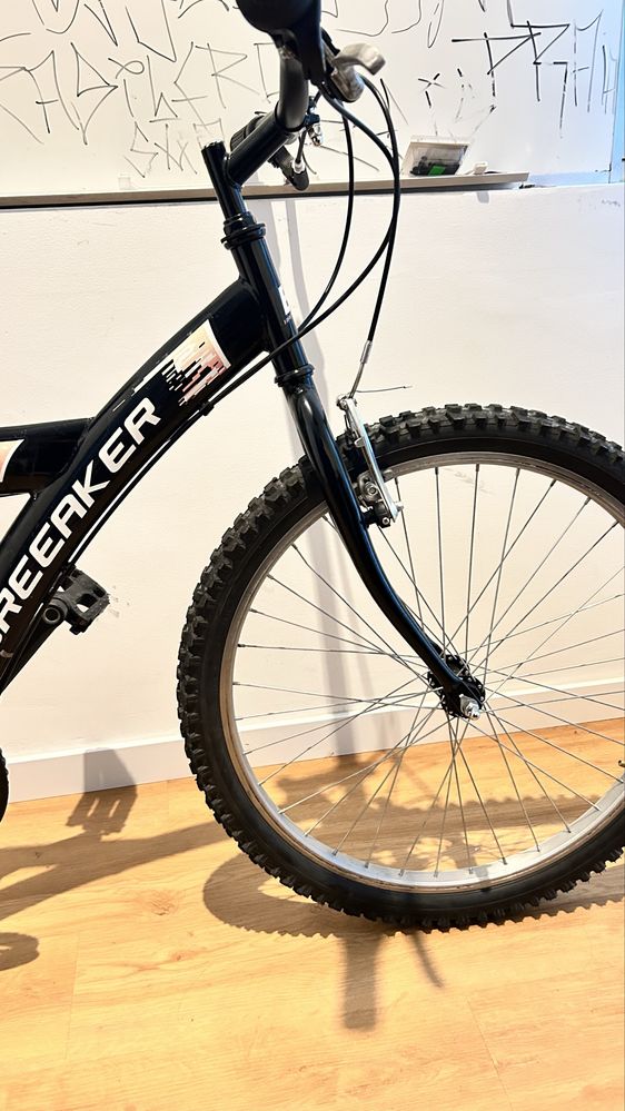 Bicicleta aro 24