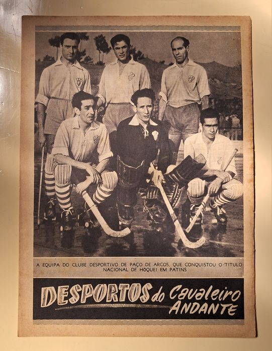 Cavaleiro Andante Várias Separatas.