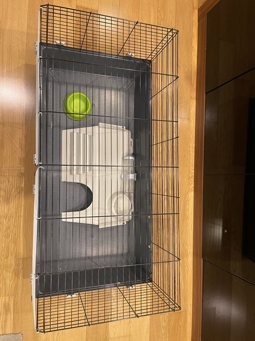 Casota coelho/porquinho da India