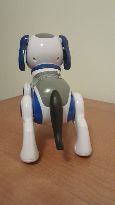 Cao com som e faz movimentos