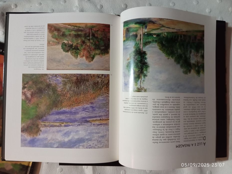 Livros de coleção pintores impressionistas famosos