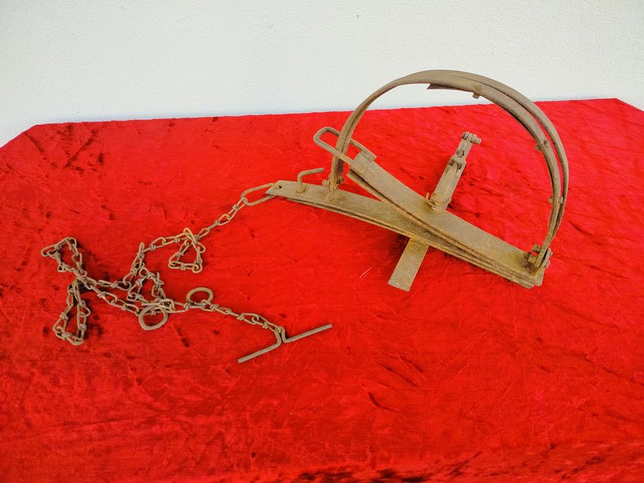 Stare zabytkowe sidła żelazne – kolekcjonerskie