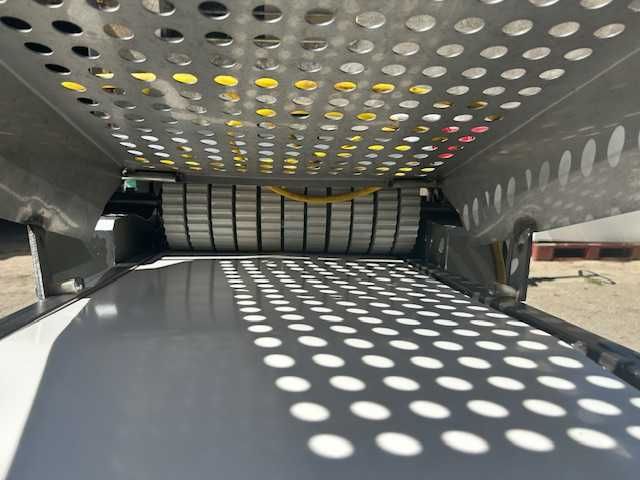 Skórowaczka Grasseli dwutaśmowa