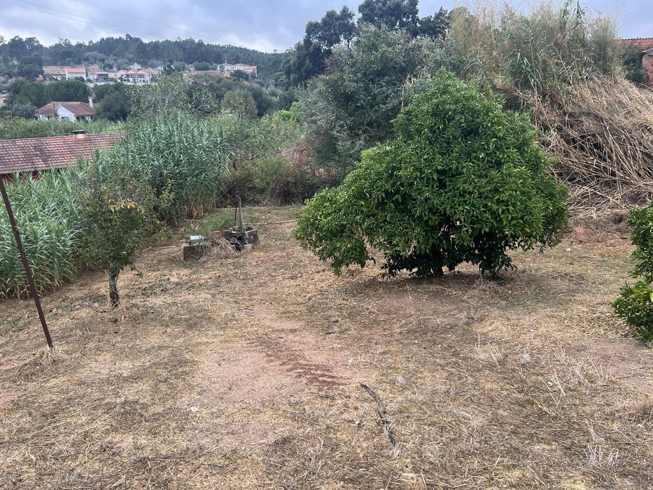 Vendo Terreno Espinheiro - Alcanena 1000m2