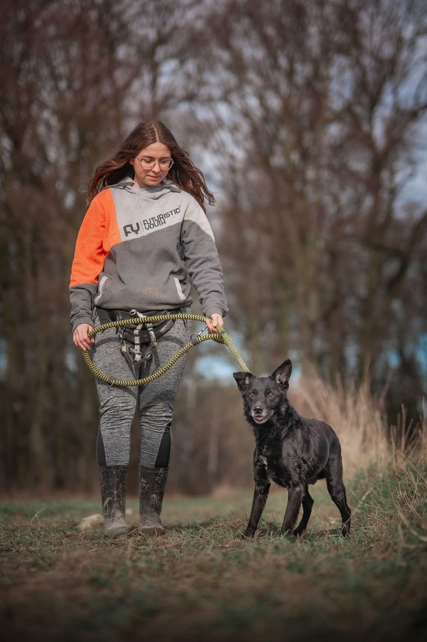 Kajtek - jestem wrażliwym psiakiem, który szuka spokojnego domu