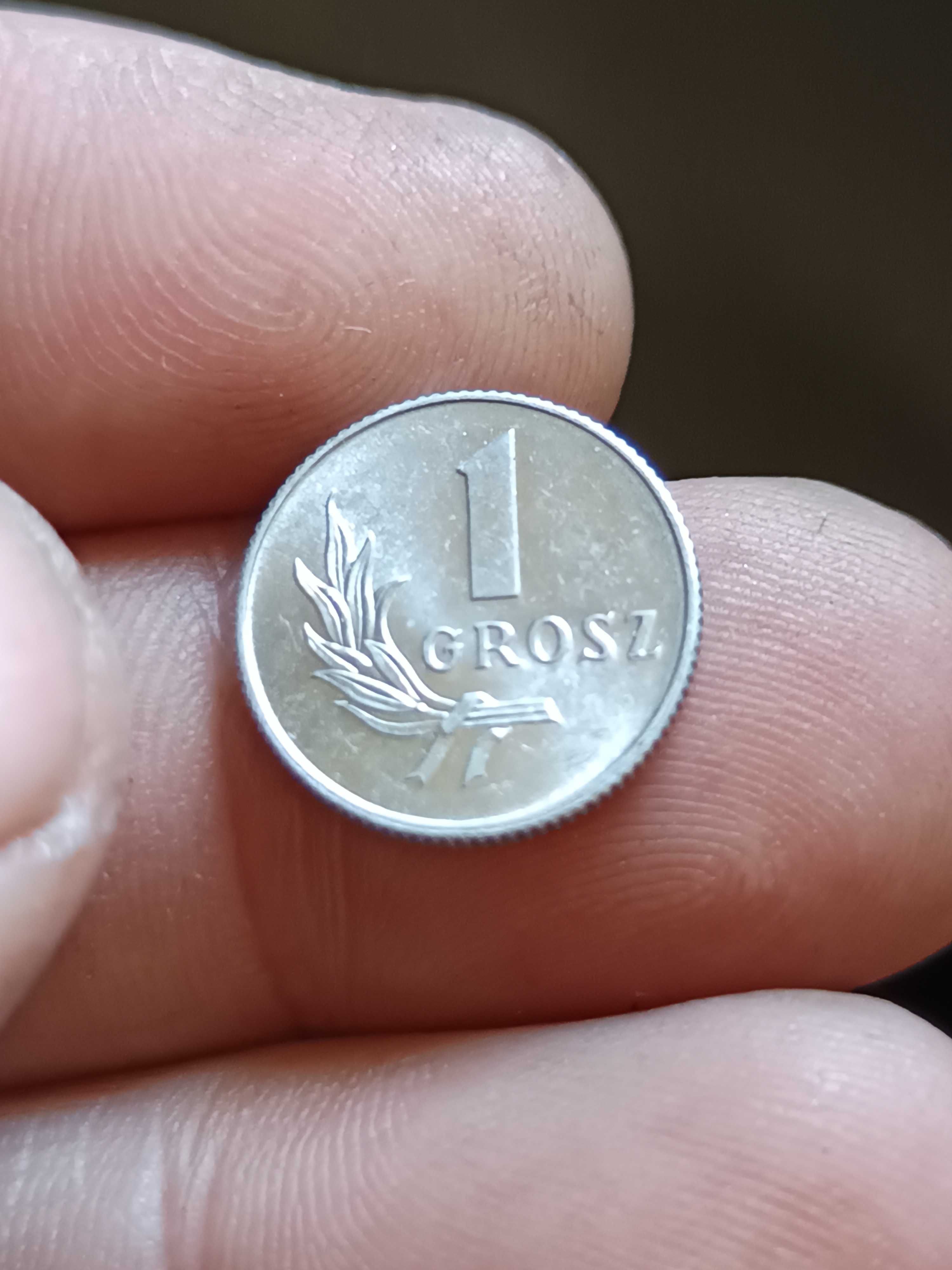 Sprzedam monetę 1 grosz 1949 rok