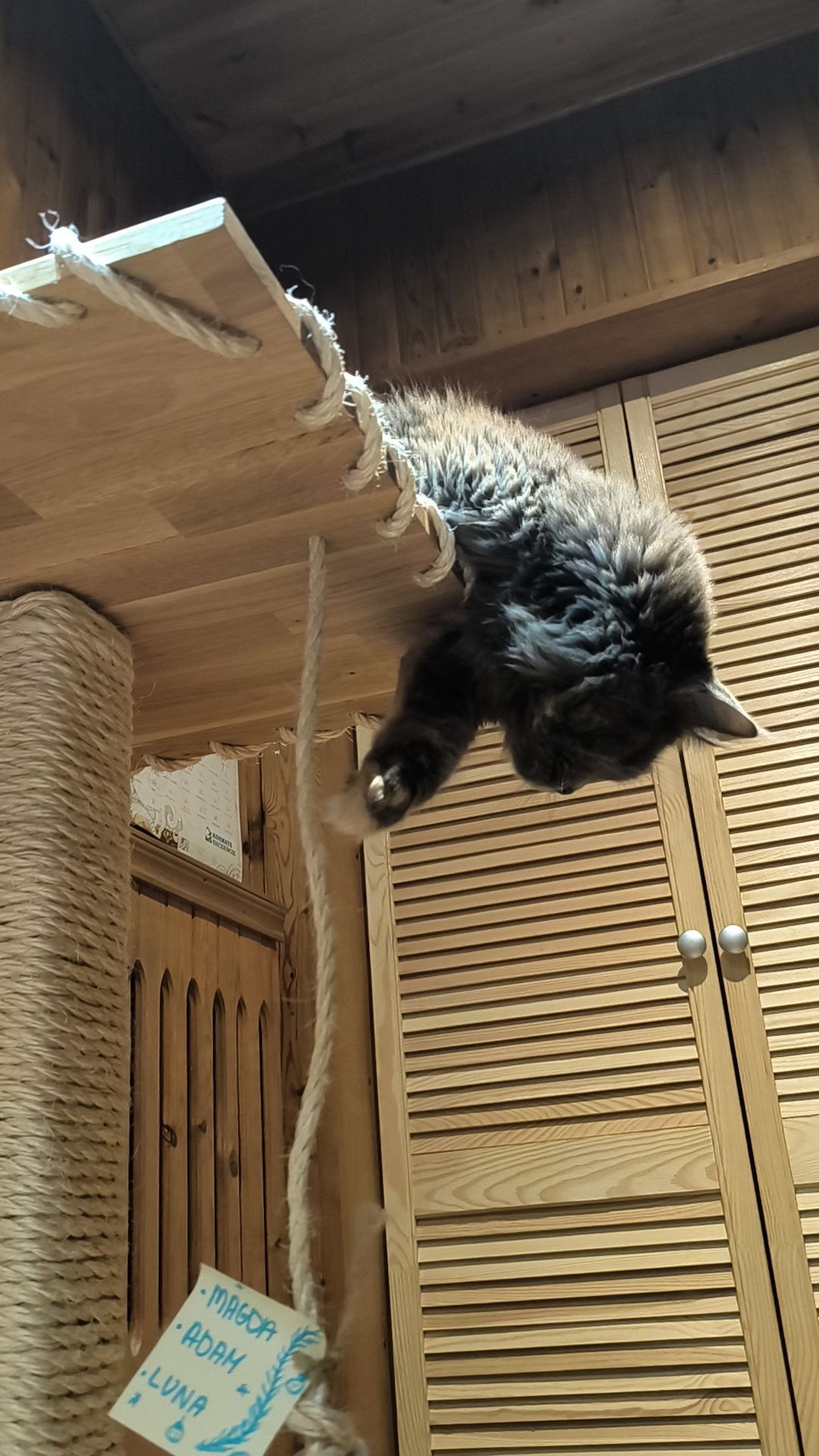 Drapak dla dużych kotów Maine coon, Ragdoll itp. ręczna robota