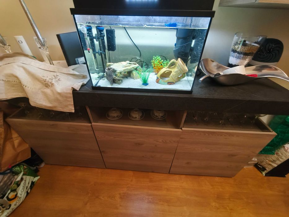 Mobiliário de sala de jantar mais mais módulo TV