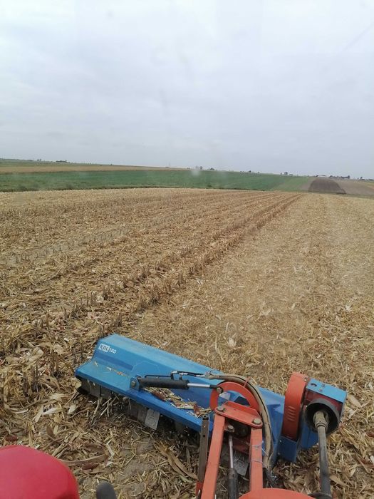 Talerzowanie ,mulczowanie ściernisk kukurydzy koszenie trawy