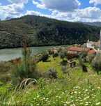 Moradia na margem do rio Zêzere