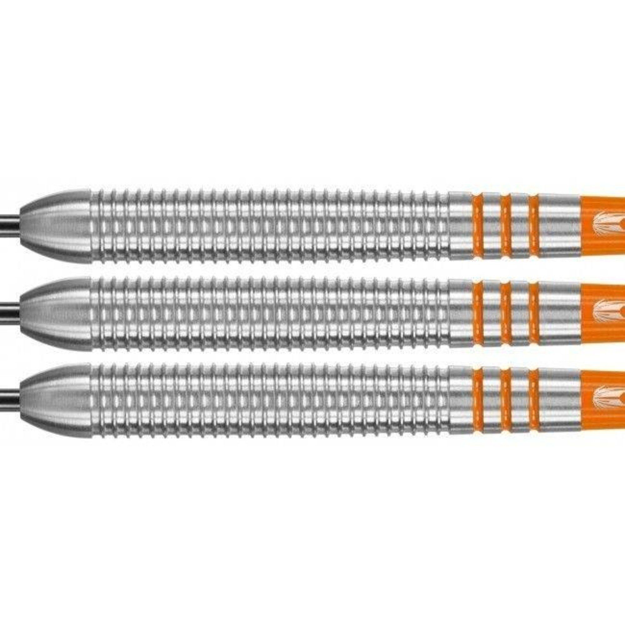 Lotki Target Raymond van Barneveld 80%, 23 gramy.