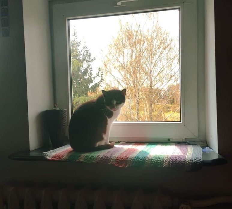 Cudowna Marylka szuka domku na zawsze