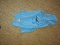 Худі Hollister блакитного коліру