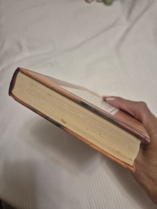 Livro "A Insustentável Leveza do Ser"