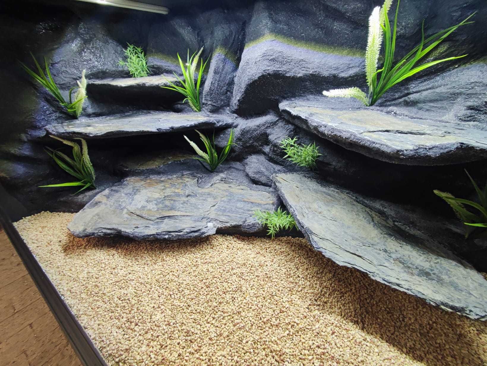 Terrarium pustynne nr660 120/60/60 dla agamy brodatej NA ZAMÓWIENIE