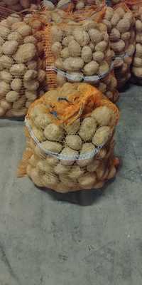 Ziemniaki jadalne z chłodni. Worek 15 kg