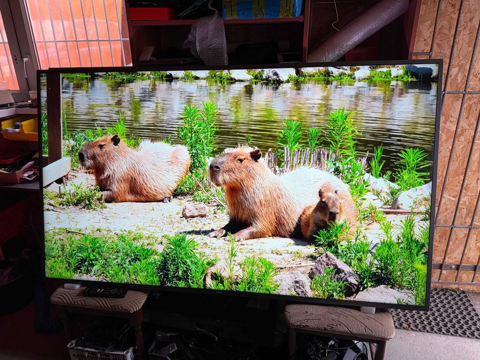 Telewizor TV Smart Philips 75PUS7805 Led 4K HDR DVBT2 75 Cal Ambilight