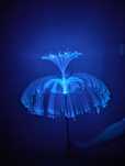 Nowa lampka solarna Meduza LED