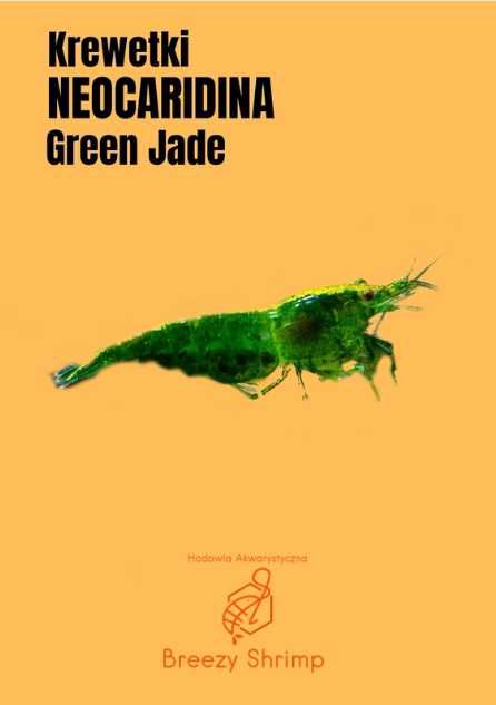 Krewetki Neocaridina Green Jade | Krewetki akwariowe