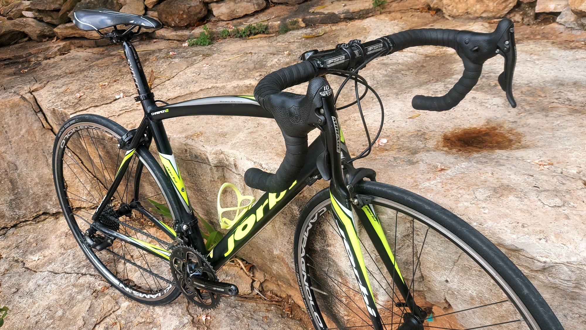 Jorbi Champion 5   T54