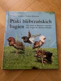 Album Ptaki biebrzańskich bagien Kłosowscy