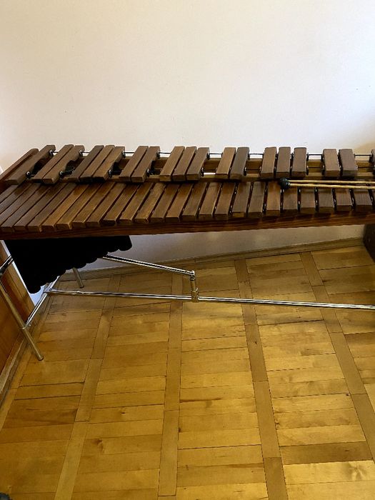 Ксилофон (професійний музичний інструмент)