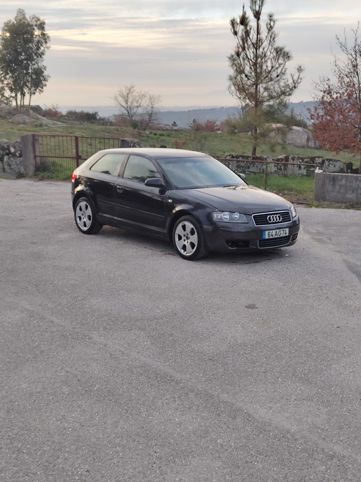 Audi a3 8p 2.0 tdi