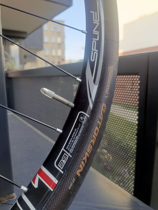 Koło tylne DT SWISS xm1501 spline alu 28"/29" ratchet tubeless ready