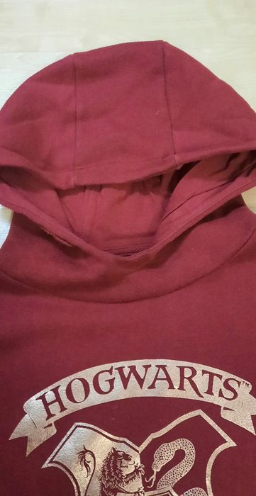 Bluza Harry Potter