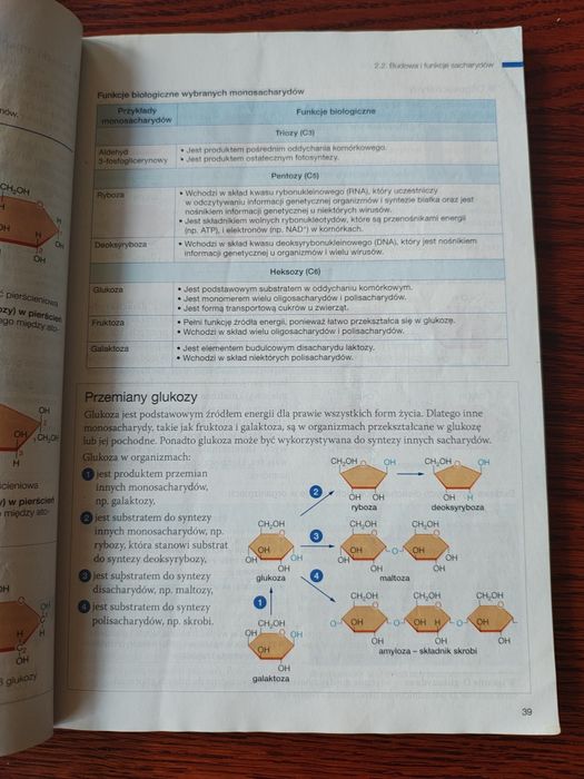 Biologia na czasie 1 zakres rozszerzony