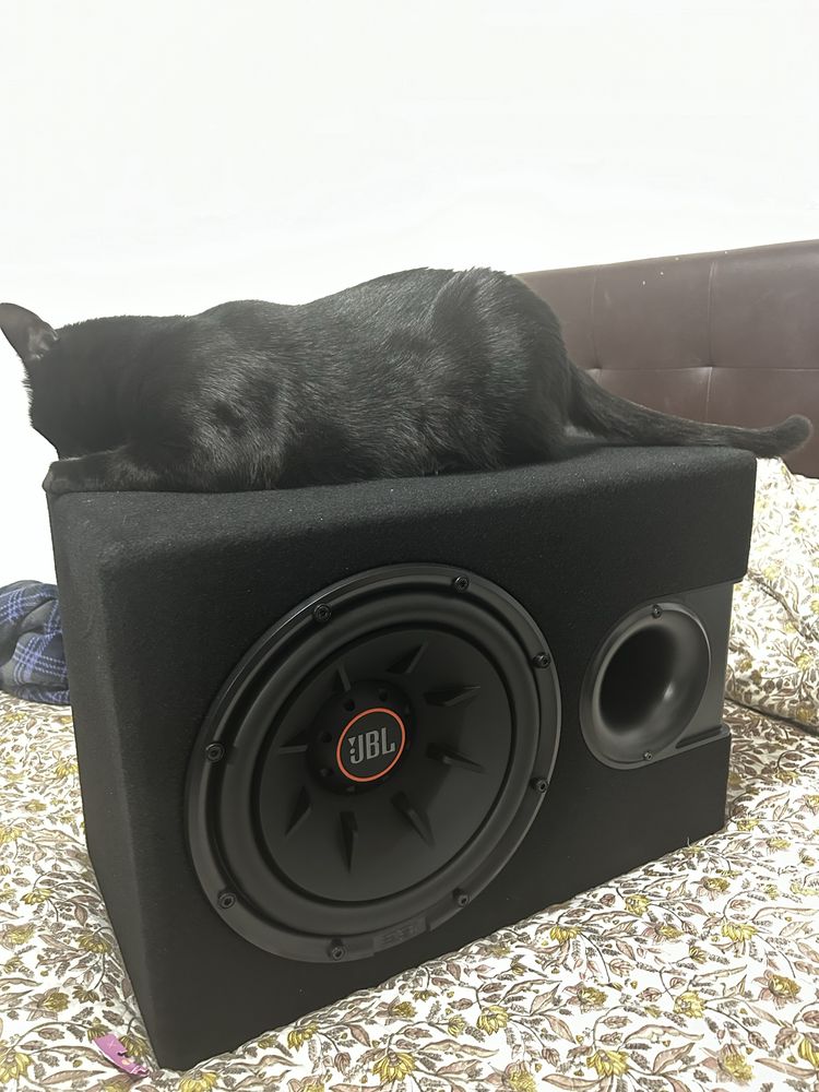 Subwoofer auto JBL S2-1224SS