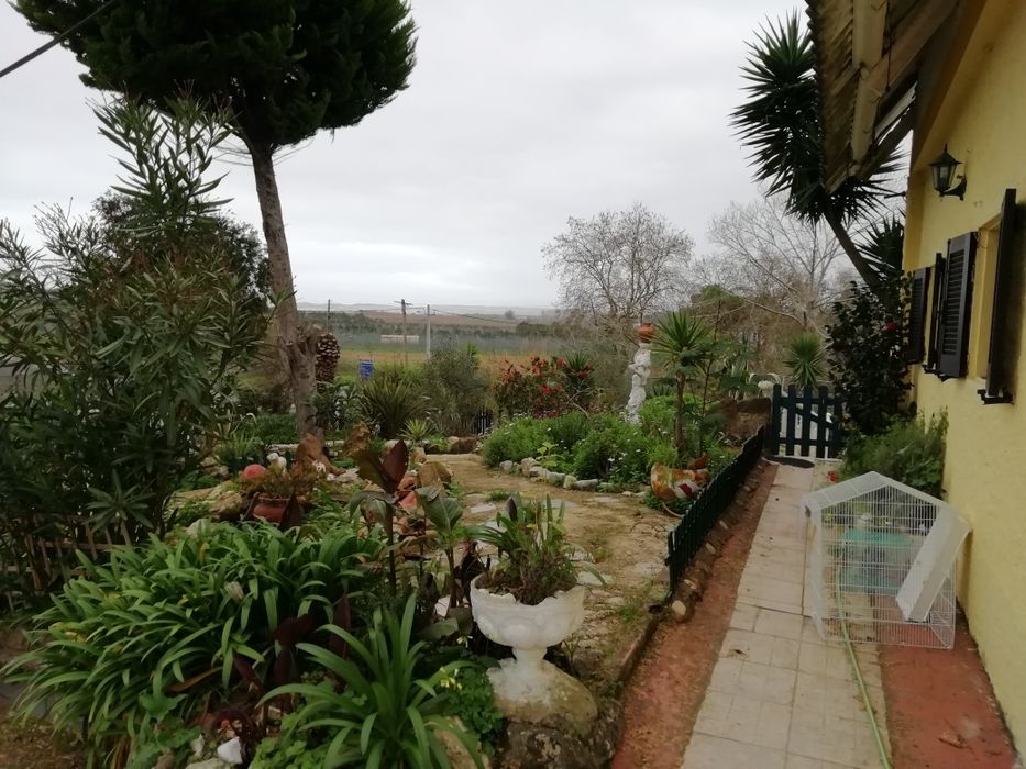 QUINTINHA COM 2.840m2. A 50 minutos de Lisboa. Casa com cerca de 200m2