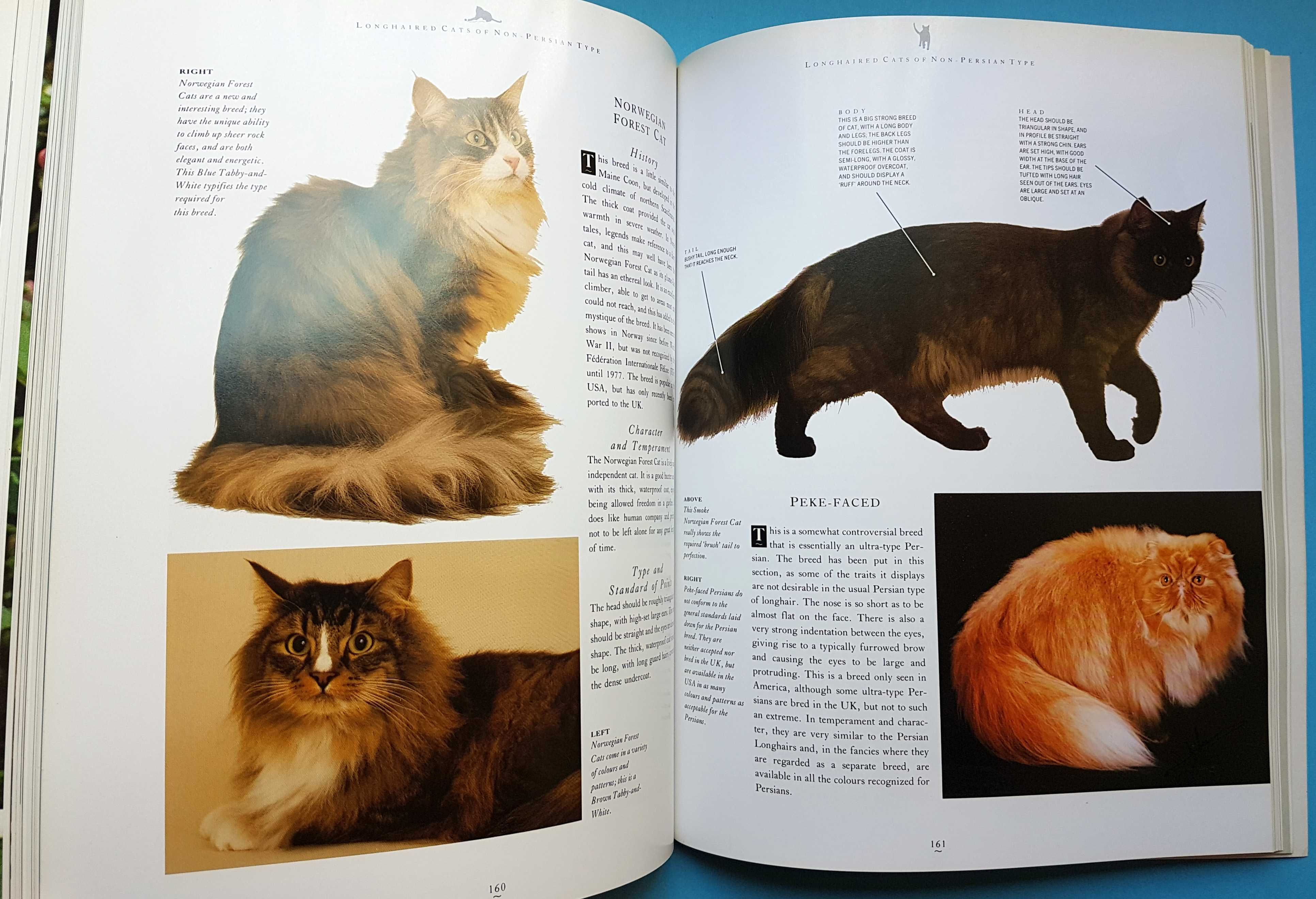 Livro "The Practical Cat Book"