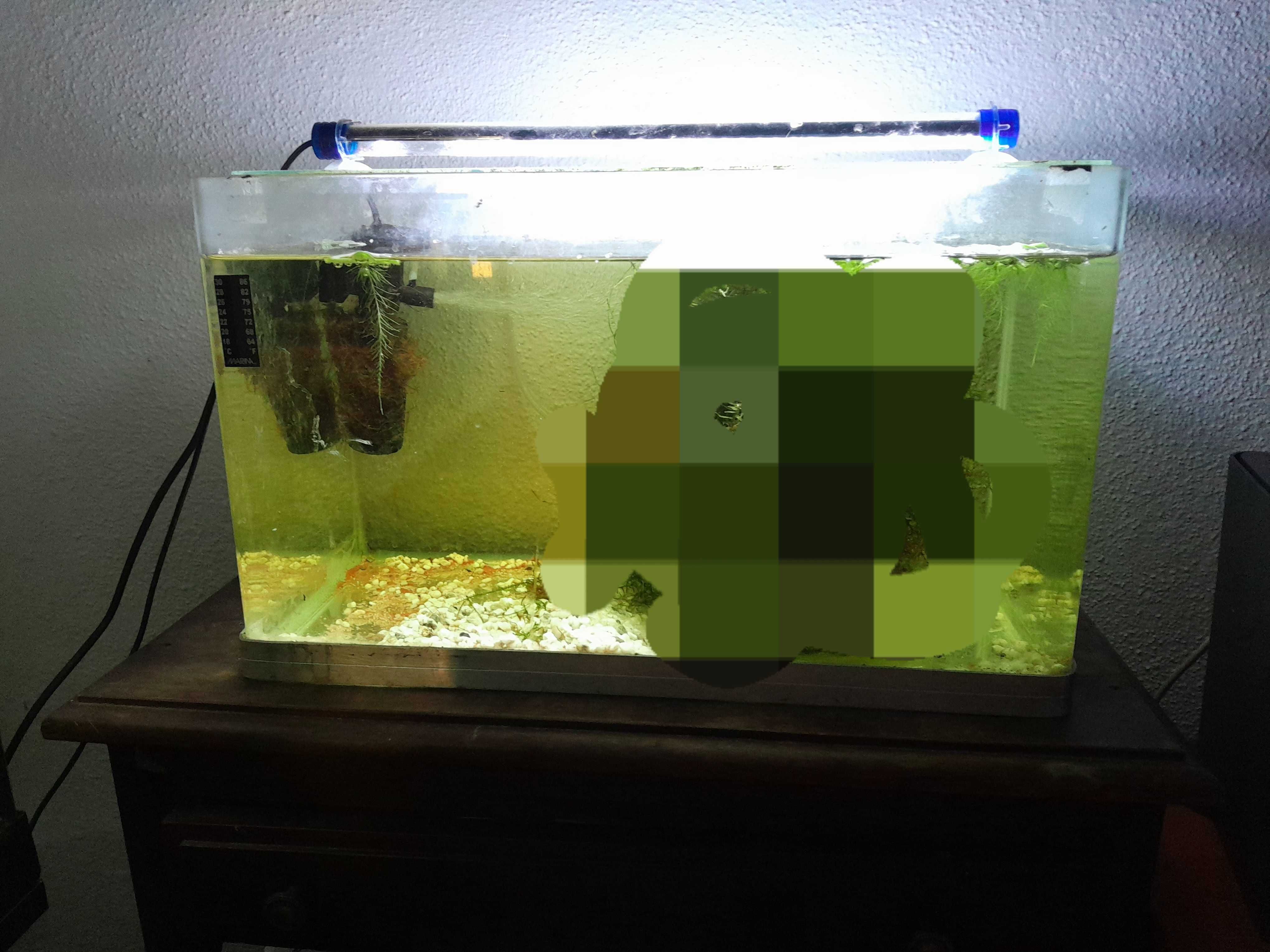 Vendo aquário de 30l com filtro