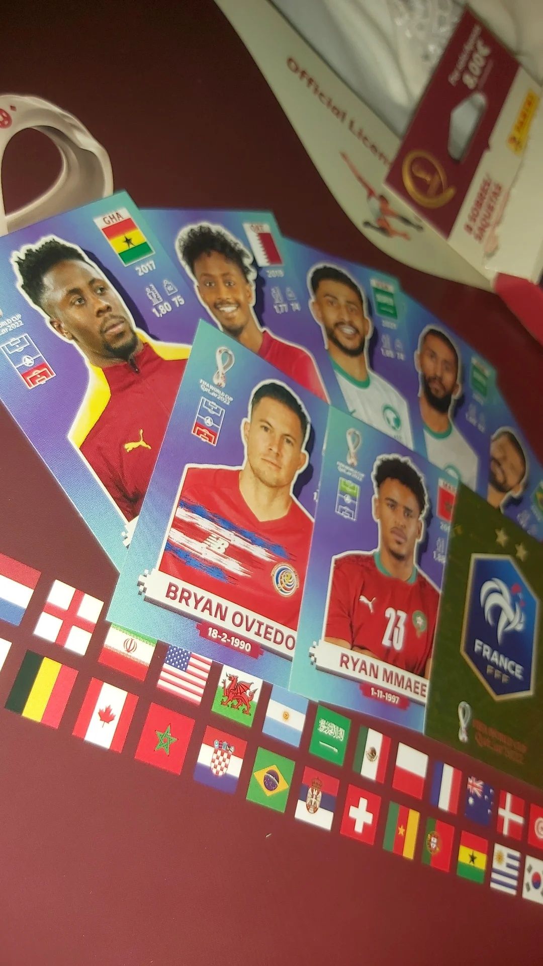 Vendo/Troco Panini qatar2022