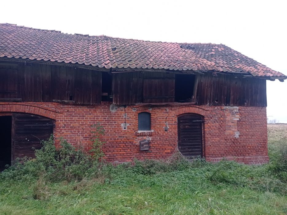 Opróżnianie sprzątanie utylizacja domów mieszkań piwnic strychów rod