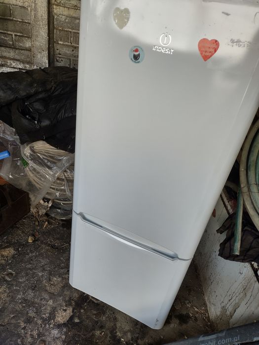Lodówka marki indesit