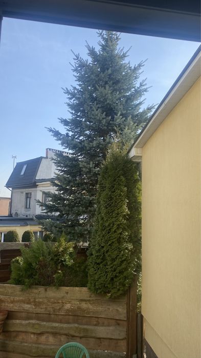 Варшавська Ждахи Малоголосківська Квартира особнячного типу