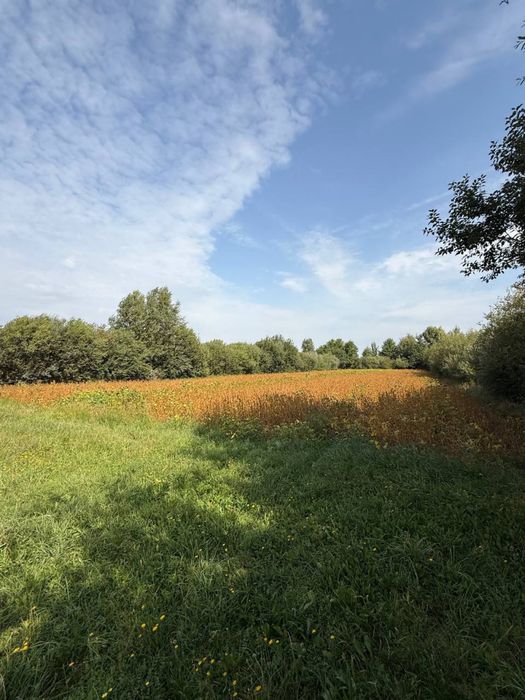 Продаж будинку + земельна ділянка біля Жовкви