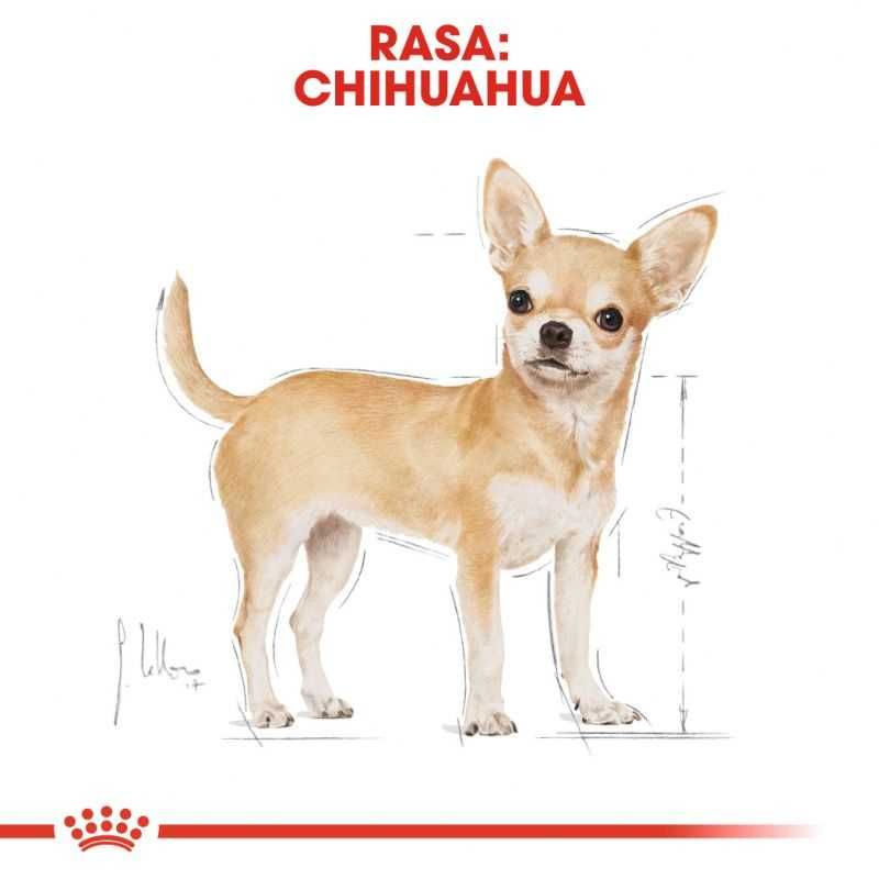 Karma dla psa Royal Canin Chihuahua Adult 3 kg lub 2x1,5kg