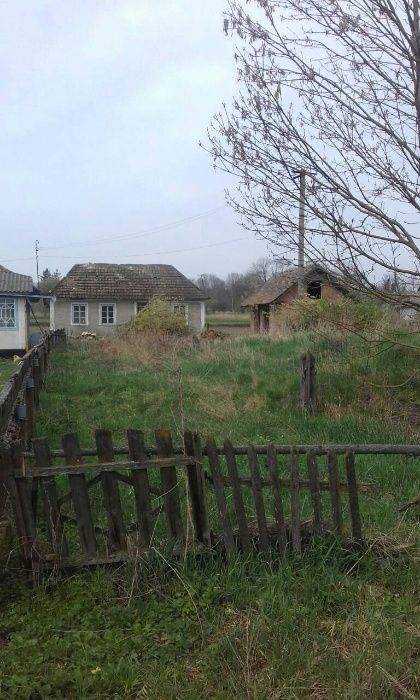 Продам участок Хмельницкая обл, Городокский р-н, с.Купин