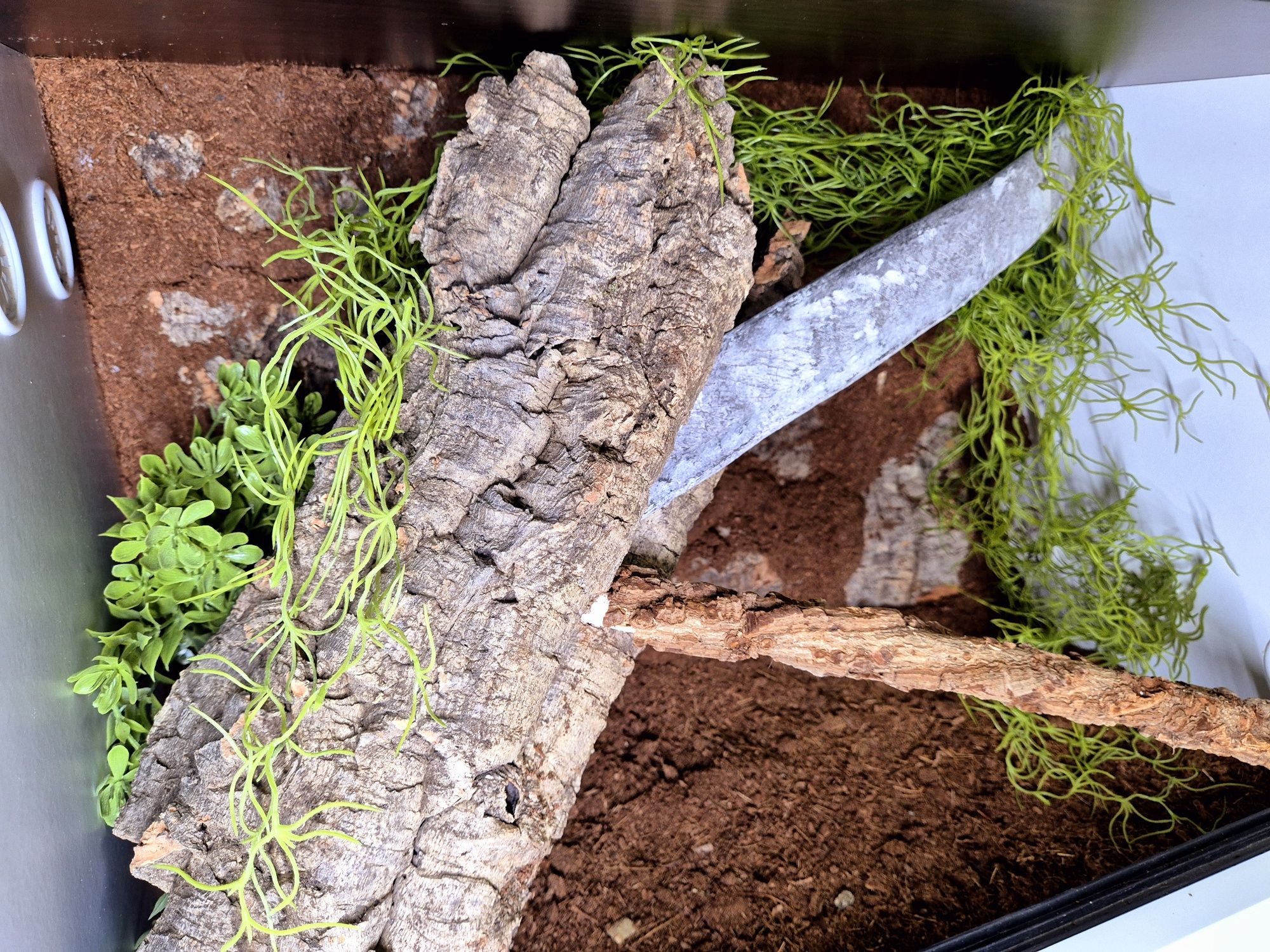 Terrarium 60x40x40 gekon wąż  wysylka
